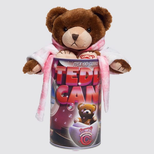 Teddy Canz! A New Spin To An Old Favorite – the Teddy Bear